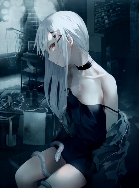 Anime picture 1300x1762 with original tlla (artist) single long hair tall image looking at viewer fringe breasts light erotic red eyes sitting payot white hair indoors looking back open jacket flat chest strap slip girl animal