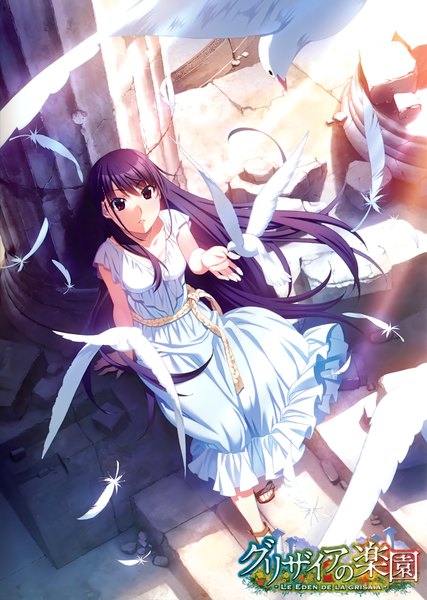 Anime picture 2846x4000 with grisaia no kajitsu sakaki yumiko watanabe akio single long hair tall image highres open mouth sitting purple eyes looking away purple hair scan official art girl dress animal belt white dress bird (birds)