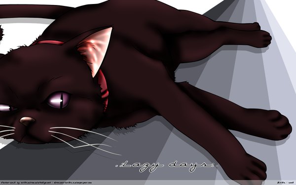 Anime picture 1920x1200 with darker than black studio bones mao (darker than black) highres wide image cat