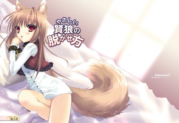 Anime picture 1050x720 with spice and wolf horo light erotic red eyes animal ears tail wolf ears wolf tail wolf girl girl bed