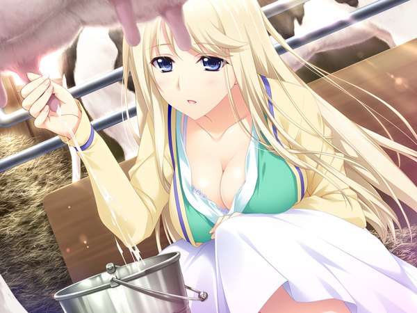 Anime picture 1024x768 with lovely x cation 2 hibiki works yoshinoya seine iizuki tasuku long hair breasts blue eyes light erotic blonde hair game cg girl milk cow