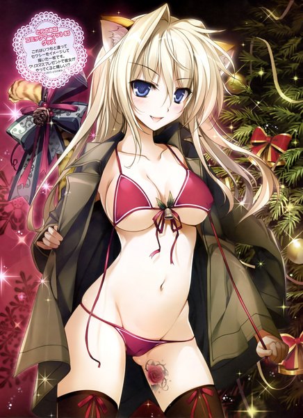 Anime picture 850x1170 with comic toranoana kotora (toranoana) karory single long hair tall image looking at viewer blush fringe breasts open mouth blue eyes light erotic blonde hair smile large breasts animal ears tail :d animal tail