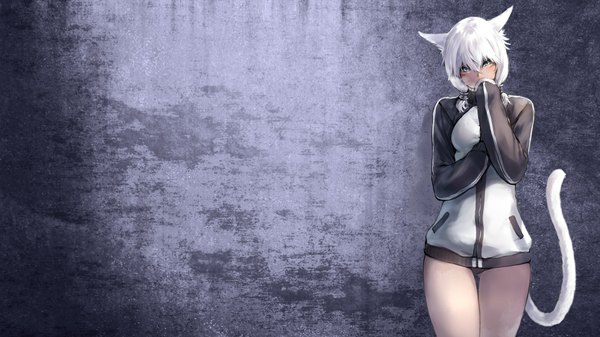 Anime picture 1920x1080 with final fantasy final fantasy iv square enix miqo'te makimura shunsuke single long hair looking at viewer highres blue eyes light erotic wide image standing animal ears white hair tail animal tail cat ears cat girl cat tail