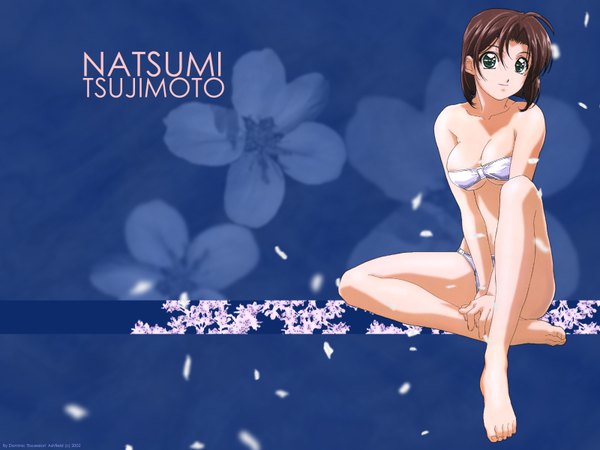 Anime picture 1600x1200 with you're under arrest studio deen tsujimoto natsumi taiho shichauzo light erotic tagme
