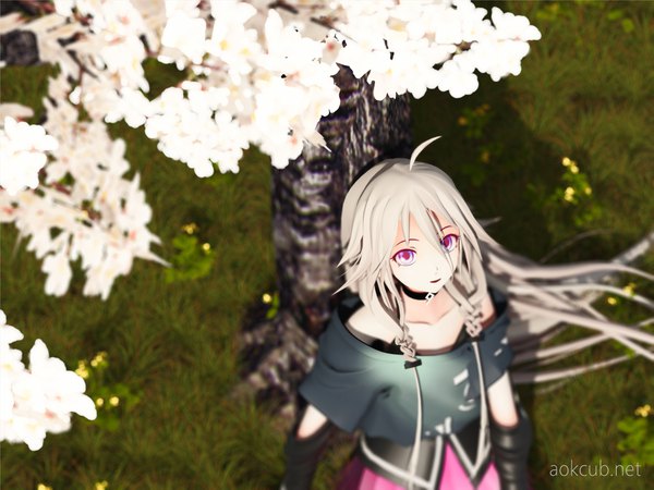 Anime picture 3840x2880 with vocaloid ia (vocaloid) aokcub single long hair looking at viewer highres signed absurdres ahoge braid (braids) parted lips pink eyes light smile from above wind grey hair blurry twin braids cherry blossoms