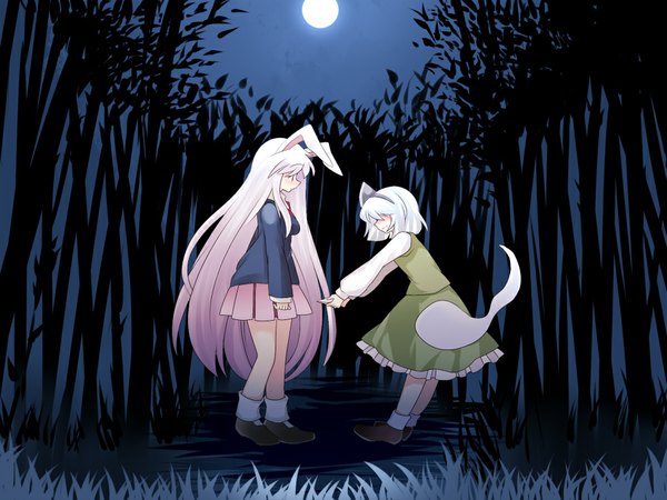 Anime picture 1000x750 with touhou konpaku youmu reisen udongein inaba myon hammer (sunset beach) long hair short hair red eyes multiple girls silver hair purple hair night bunny ears night sky hair over eyes girl ribbon (ribbons) 2 girls plant (plants) hair ribbon