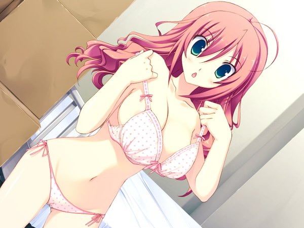 Anime picture 1600x1200 with ore no tsure wa hito de nashi henmi io single long hair light erotic green eyes game cg red hair underwear only undressing girl underwear panties