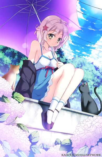 Anime picture 1000x1538 with original kaho okashii single tall image looking at viewer blush short hair light erotic smile sitting brown eyes pink hair sky cloud (clouds) braid (braids) light smile twin braids girl dress hair ornament