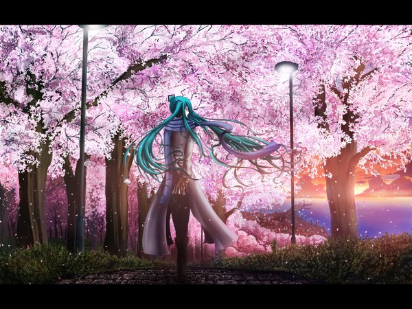 Anime picture 1600x1200 with vocaloid hatsune miku single long hair green eyes aqua hair cherry blossoms evening light sunset girl gloves hair ornament plant (plants) petals tree (trees) water hairclip scarf cloak