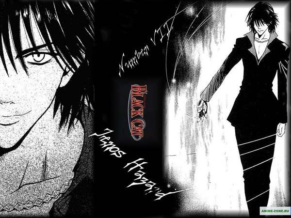 Anime picture 1024x768 with black cat gonzo train heartnet monochrome boy