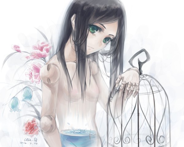 Anime picture 1280x1024 with original cea single long hair black hair simple background white background green eyes signed girl flower (flowers) water doll (dolls) cage