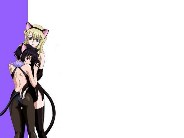 Anime picture 1024x768 with noir yumura kirika mireille bouquet animal ears cat girl girl