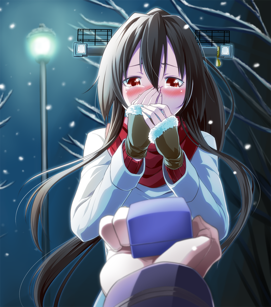 Anime picture 1063x1200 with kantai collection yamato super battleship reido (raid zero) single long hair tall image looking at viewer blush fringe black hair hair between eyes red eyes night embarrassed tears snowing winter pov bare tree surprised