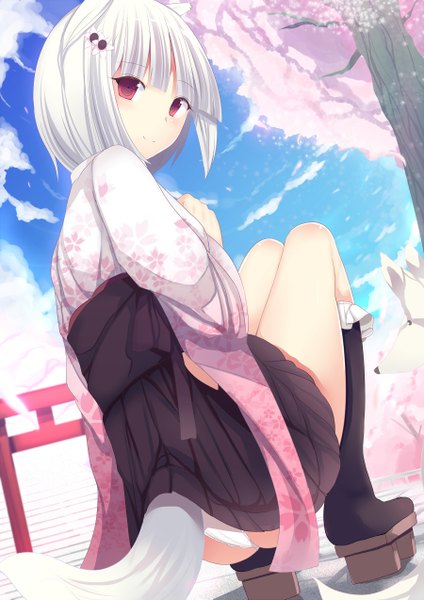 Anime picture 900x1273 with original daiaru single tall image short hair light erotic smile animal ears white hair traditional clothes pink eyes pantyshot cherry blossoms pantyshot sitting girl underwear panties plant (plants) petals tree (trees)
