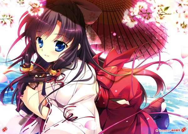 Anime picture 5049x3600 with girls, girls, girls! 11 (artbook) mikeou single long hair looking at viewer blush highres blue eyes black hair absurdres traditional clothes scan official art miko girl flower (flowers) bow hair bow petals umbrella