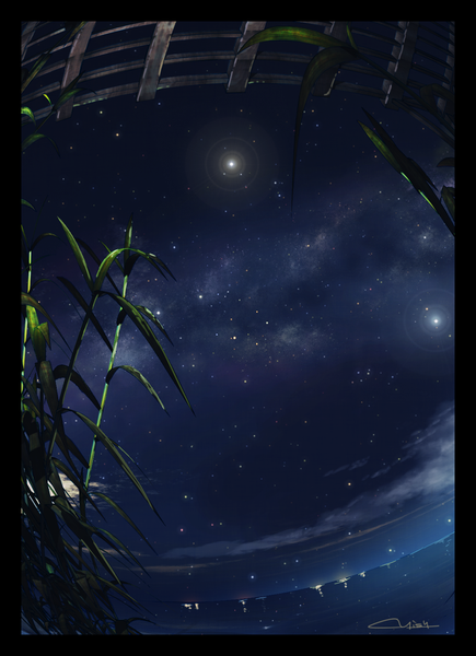 Anime picture 1118x1540 with original waisshu (sougyokyuu) tall image signed cloud (clouds) night night sky light horizon no people glow milky way plant (plants) sea leaf (leaves) star (stars) bamboo