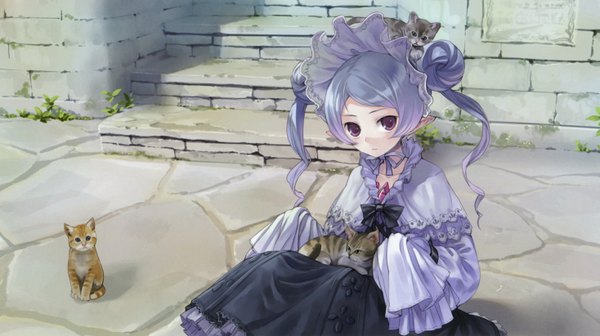 Anime picture 2933x1643 with atelier (series) gust (company) hom kishida mel highres wide image purple eyes blue hair pointy ears girl dress cat