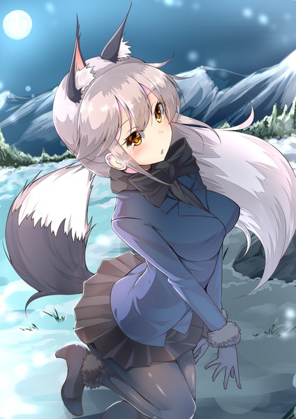 Anime picture 1000x1414 with kemono friends silver fox (kemono friends) inu3 single long hair tall image looking at viewer fringe breasts hair between eyes standing animal ears yellow eyes silver hair outdoors tail long sleeves animal tail pleated skirt from above