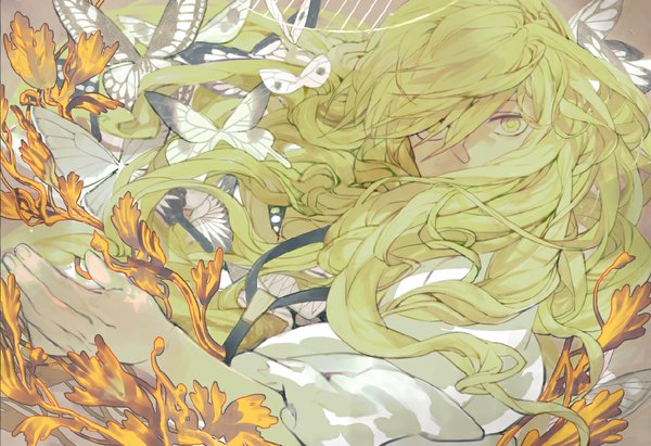 Anime picture 1193x819 with fate (series) fate/strange fake type-moon enkidu (fate) shishio (pixiv) long hair looking at viewer fringe green eyes green hair otoko no ko boy plant (plants) insect butterfly