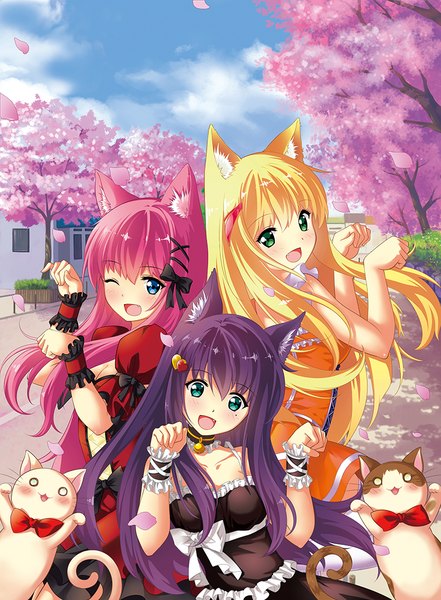 Anime picture 819x1113 with original akahiko mei long hair tall image looking at viewer blush open mouth blue eyes black hair blonde hair multiple girls green eyes animal ears pink hair one eye closed wink cat ears cat girl cherry blossoms girl