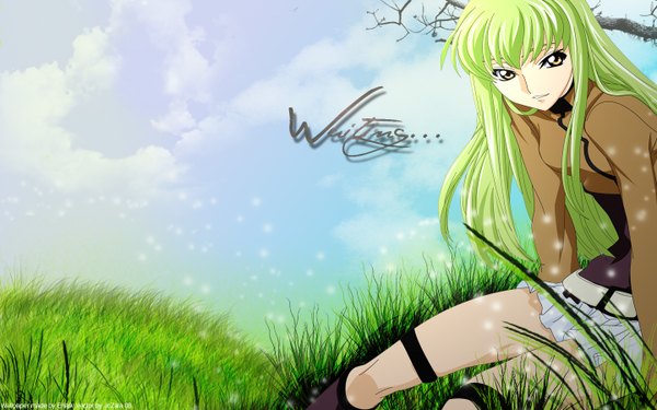 Anime picture 1440x900 with code geass sunrise (studio) c.c. single long hair looking at viewer fringe wide image sitting yellow eyes sky green hair girl skirt plant (plants) tree (trees) grass
