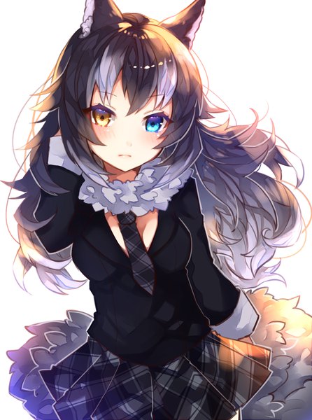 Anime picture 966x1300 with kemono friends grey wolf (kemono friends) sweetroad single long hair looking at viewer blush fringe breasts blue eyes black hair simple background hair between eyes white background animal ears yellow eyes payot cleavage white hair tail