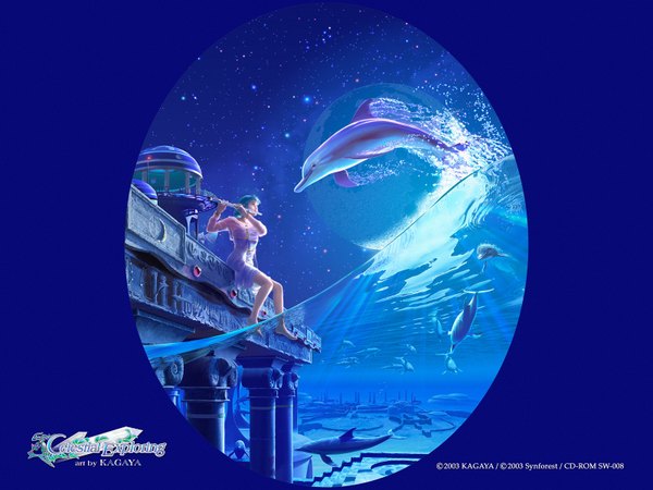 Anime picture 1600x1200 with kagaya realistic dolphin tagme celestial exploring