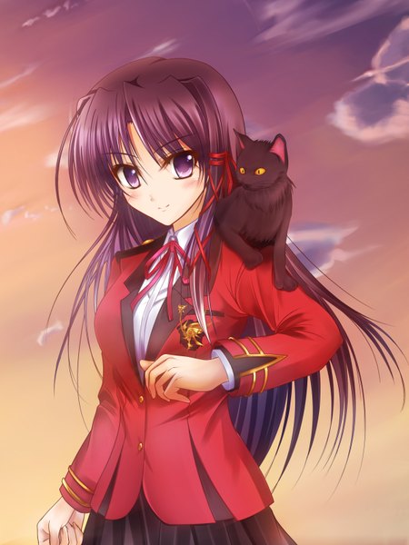 Anime picture 2400x3200 with fortune arterial august soft kuze kiriha pass-d (artist) single long hair tall image highres black hair purple eyes evening sunset girl uniform ribbon (ribbons) school uniform animal serafuku cat