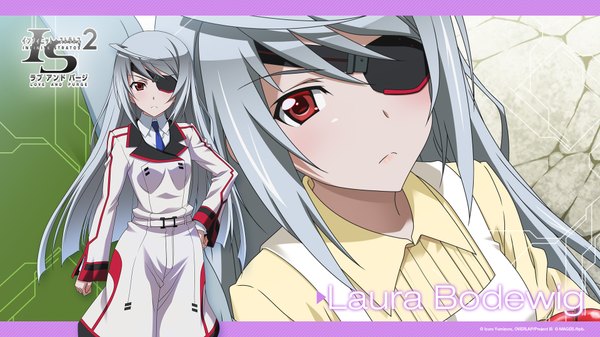 Anime picture 1920x1080 with infinite stratos 8bit laura bodewig horii kumi (artist) single long hair looking at viewer blush highres red eyes wide image silver hair ahoge from above wallpaper hand on hip character names girl uniform school uniform