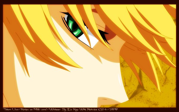 Anime picture 1920x1200 with kaichou wa maid-sama! takumi usui highres blonde hair wide image green eyes profile border close-up vector yellow background boy