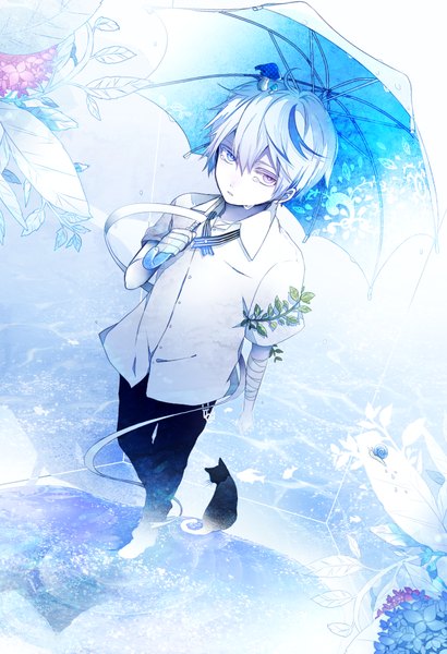 Anime picture 767x1123 with original yukimachi single tall image short hair standing purple eyes looking away white hair aqua eyes from above heterochromia blue background crying boy plant (plants) animal leaf (leaves) umbrella cat