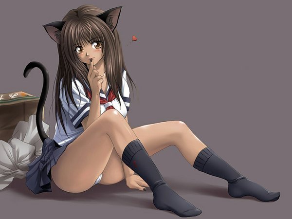 Anime picture 1024x768 with original shinozuka jyouji light erotic animal ears tail grey background cat girl pantyshot sitting girl underwear panties serafuku
