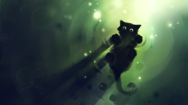 Anime picture 1920x1080 with original apofiss highres wide image animal water cat