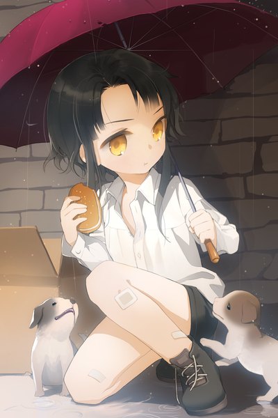 Anime picture 1280x1920 with sword girls salt (salty) single tall image fringe short hair black hair holding orange eyes kneeling rain girl skirt animal shirt food umbrella child (children) dog box