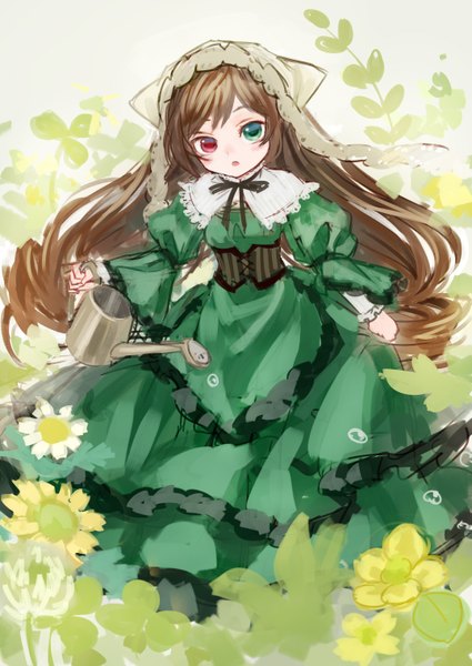 Anime picture 2149x3035 with rozen maiden suiseiseki ama-tou single long hair tall image looking at viewer blush highres brown hair heterochromia girl dress flower (flowers) cap corset watering can