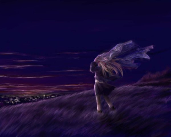 Anime picture 1280x1024 with kanon key (studio) sawatari makoto nise mono (artist) single long hair blonde hair sky cloud (clouds) from behind night back girl skirt plant (plants) building (buildings) grass