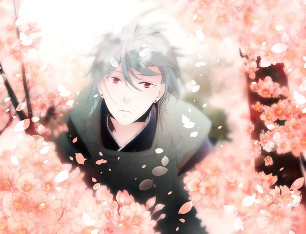 Anime picture 1484x1137 with original mirunai short hair red eyes japanese clothes grey hair cherry blossoms looking up boy flower (flowers) petals