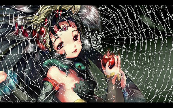 Anime picture 1024x640 with original kaze-hime single long hair looking at viewer black hair red eyes wide image light smile eyes cropped girl detached sleeves water apple hands reptile spider web spider lizard