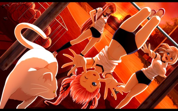 Anime picture 1680x1050 with tsukumo long hair short hair blue eyes blonde hair wide image multiple girls pink hair red hair outstretched arm evening sunset group girl uniform animal 3 girls cat gym uniform ball