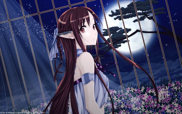 Anime picture 2560x1600 with sword art online a-1 pictures yuuki asuna titania (alo) cilou (artist) single long hair looking at viewer highres brown hair wide image twintails bare shoulders brown eyes braid (braids) looking back pointy ears night sky girl flower (flowers)