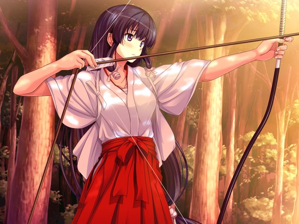 Anime picture 1024x768 with spocon! terashima madoka marushin (denwa0214) long hair blush black hair purple eyes game cg miko girl plant (plants) tree (trees) bow (weapon)