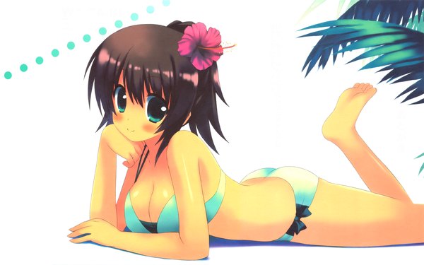 Anime picture 2560x1600 with kiba satoshi blush highres blue eyes light erotic brown hair wide image ponytail hair flower flower (flowers) swimsuit bikini hibiscus