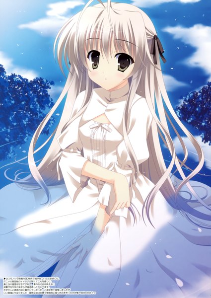 Anime picture 2477x3500 with yosuga no sora kasugano sora naruse mamoru long hair tall image blush highres sky cloud (clouds) ahoge white hair very long hair wet grey eyes loli wet clothes silver eyes curly hair girl dress