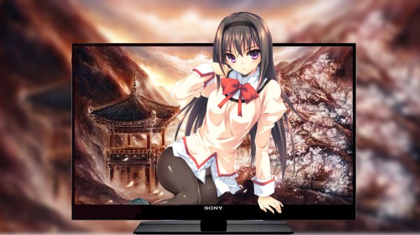 Anime picture 1920x1080 with mahou shoujo madoka magica shaft (studio) sony akemi homura long hair highres black hair wide image purple eyes cherry blossoms product placement girl bow hairband branch