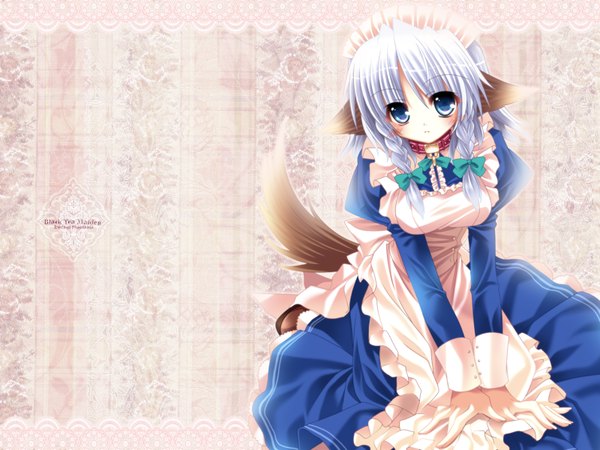 Anime picture 1600x1200 with touhou izayoi sakuya capura lin highres animal ears tail wallpaper dog ears girl