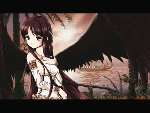 Anime picture 1024x768 with mabinogi morrighan wings tagme