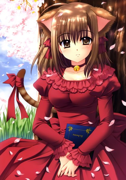 Anime picture 2424x3456 with nishimata aoi single long hair tall image highres brown hair animal ears absurdres tail animal tail black eyes cherry blossoms bell collar girl dress plant (plants) petals tree (trees) bell