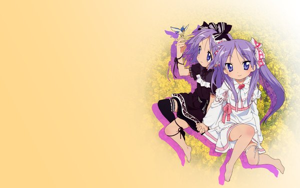 Anime picture 1680x1050 with lucky star kyoto animation hiiragi kagami hiiragi tsukasa wide image lolita fashion girl