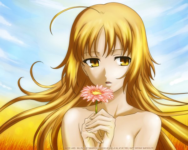 Anime picture 1280x1024 with canaan type-moon oosawa maria blonde hair signed yellow eyes close-up flower (flowers)