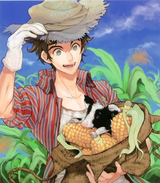 Anime picture 1225x1399 with original pixiv boys collections 2009 maize tall image short hair open mouth smile brown hair holding green eyes sky cloud (clouds) open clothes open shirt striped twisty sleeves boy gloves plant (plants) hat